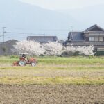 農地の相続税がゼロになる？相続したときにまずやるべき4つのこと