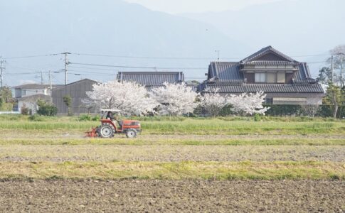 農地の相続税がゼロになる？相続したときにまずやるべき4つのこと