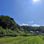 広い土地